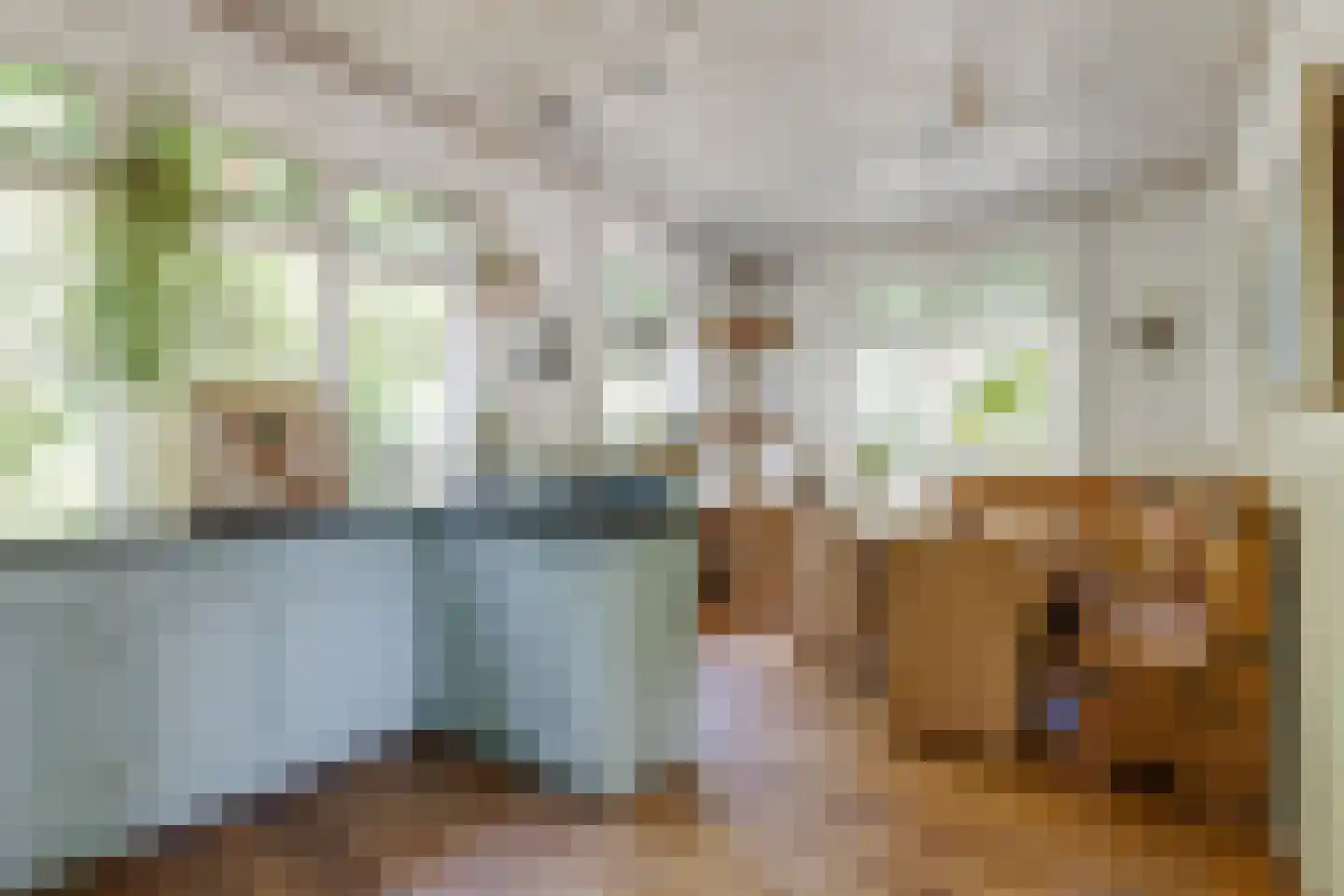 Halseweg 41 Halle thumbnail 9