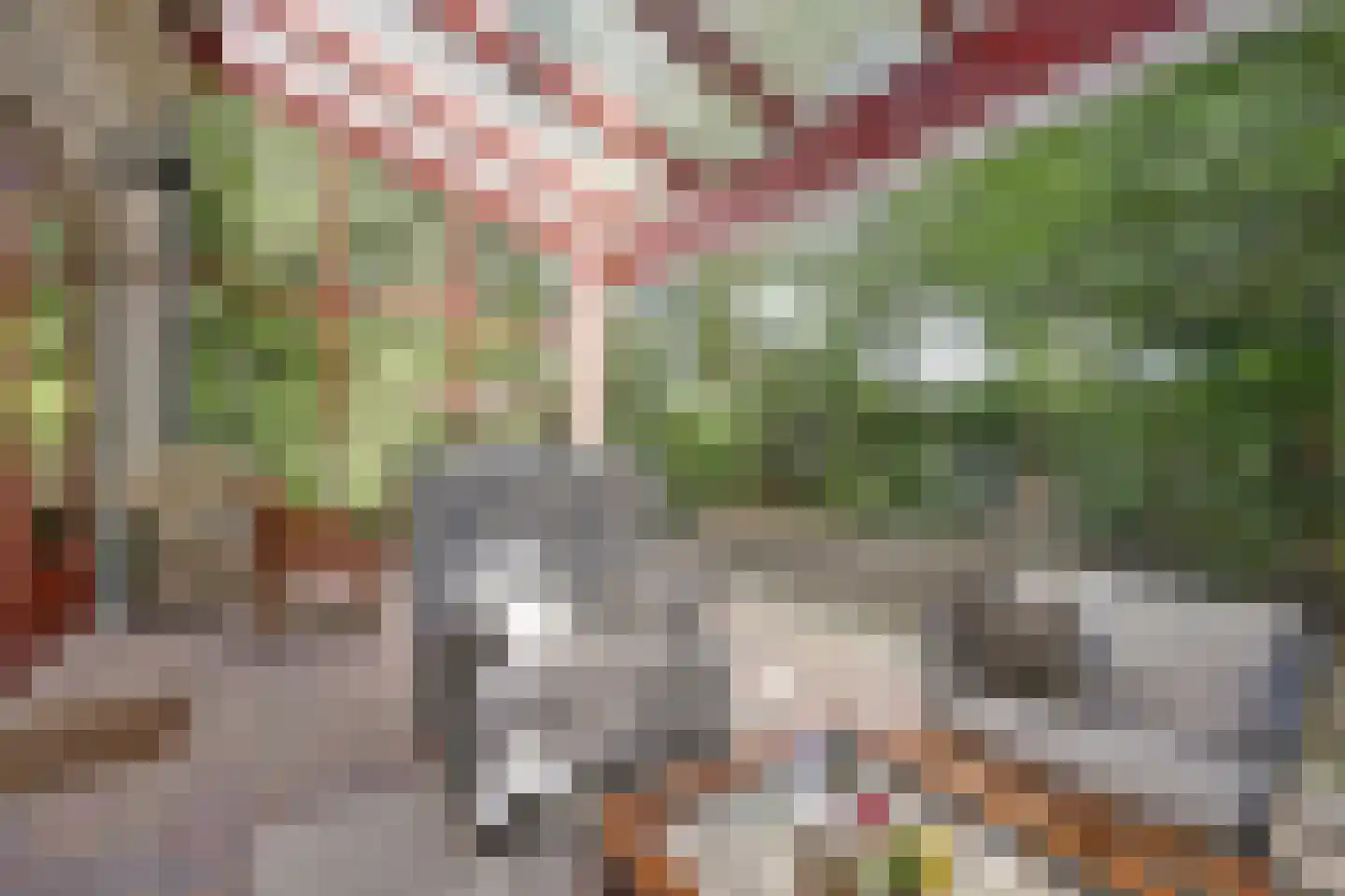 Halseweg 54 10 Halle thumbnail 14