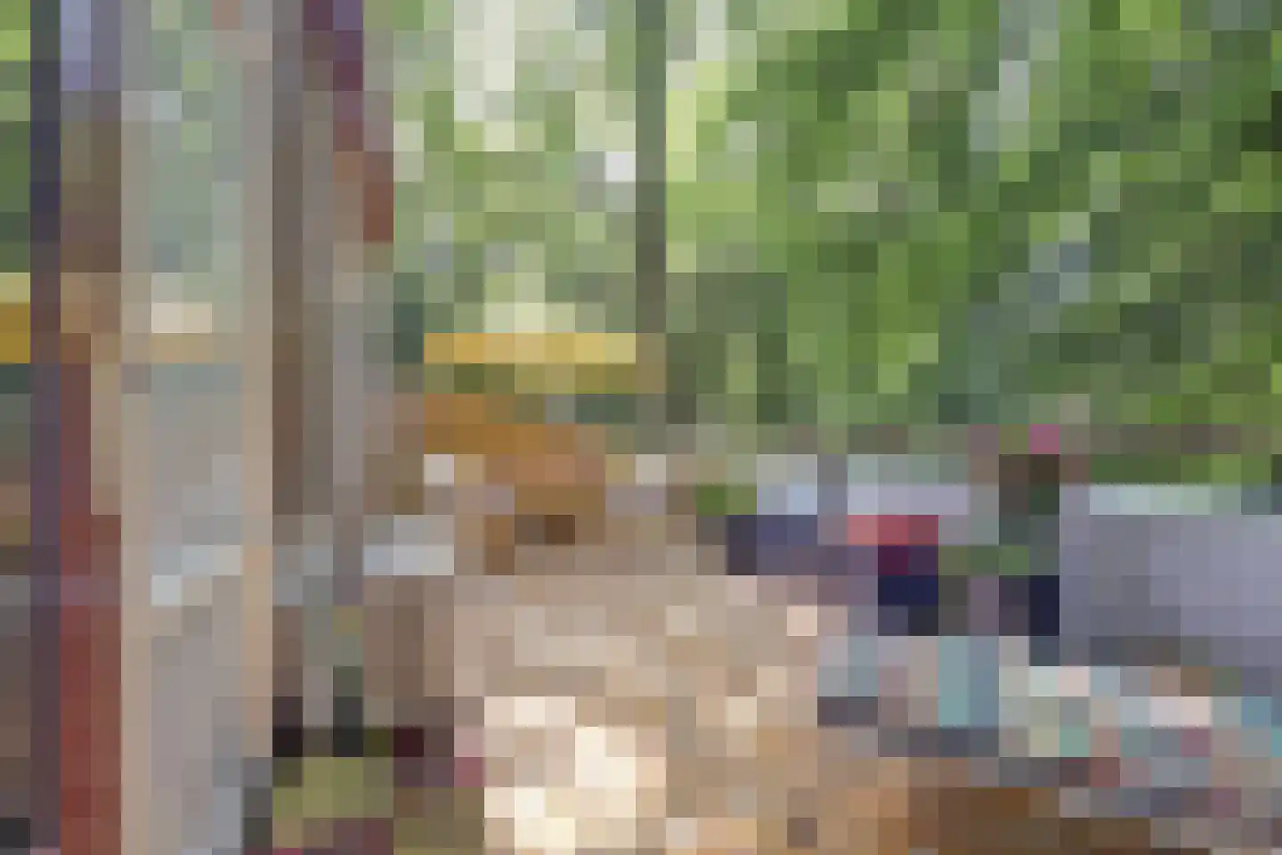 Halseweg 54 10 Halle thumbnail 33