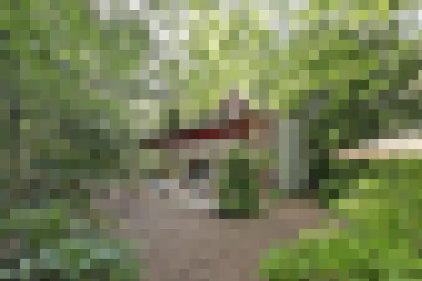 Halseweg 54 10 Halle thumbnail 36