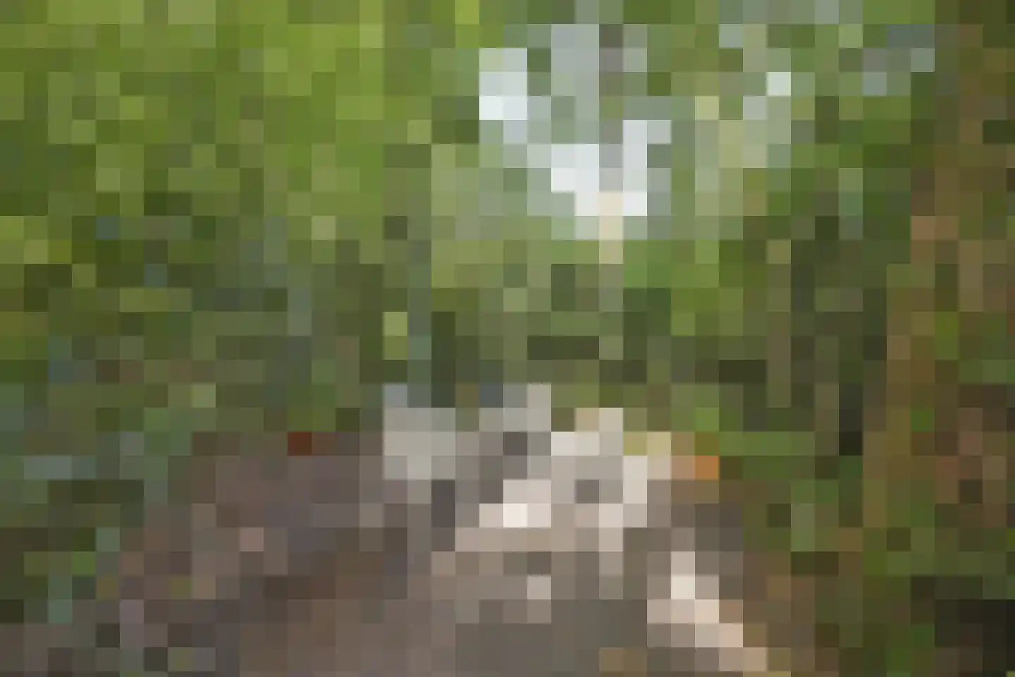 Halseweg 54 10 Halle thumbnail 37