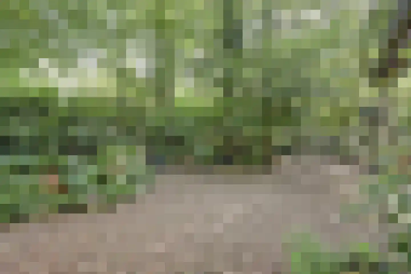 Halseweg 54 10 Halle thumbnail 38