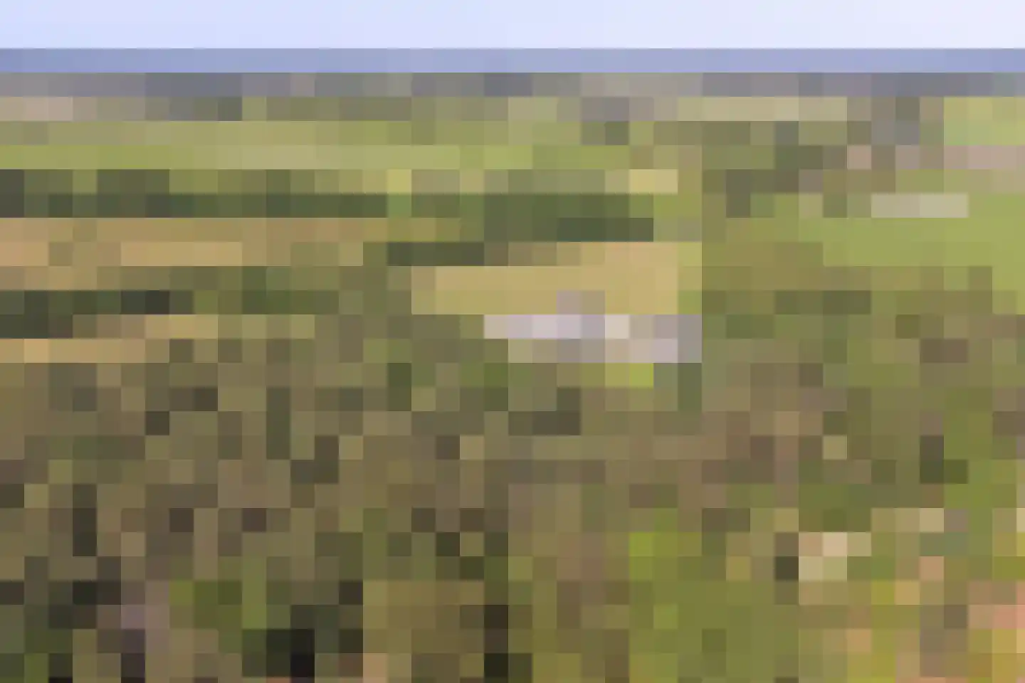 Halseweg 54 10 Halle thumbnail 42