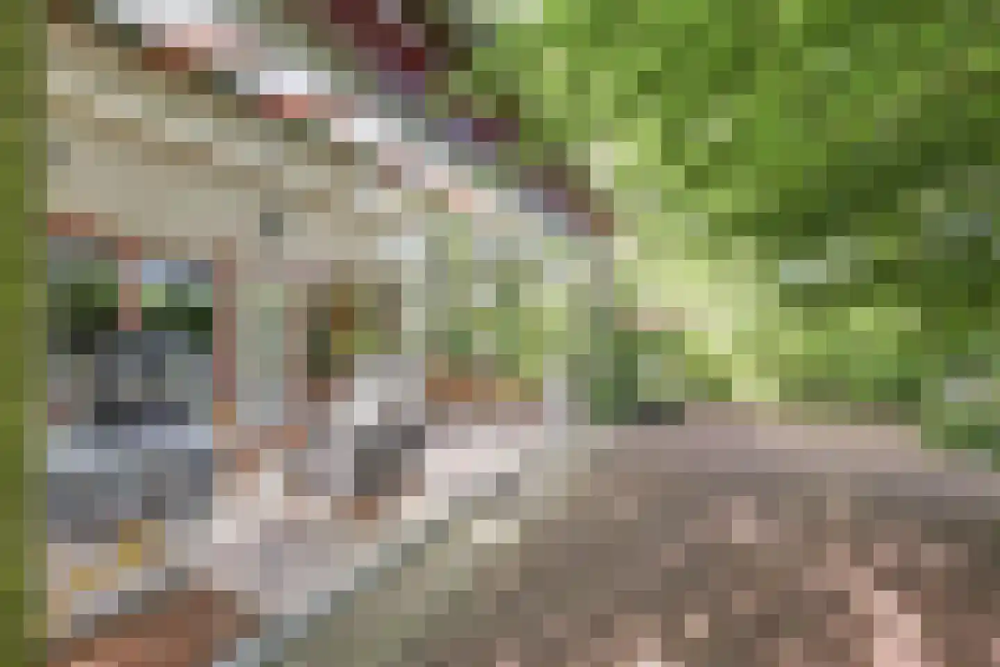 Halseweg 54 10 Halle thumbnail 6