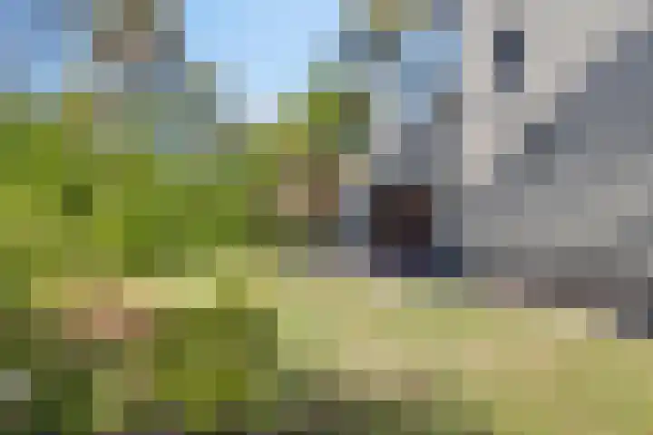 Halseweg 54 46 Halle thumbnail 24