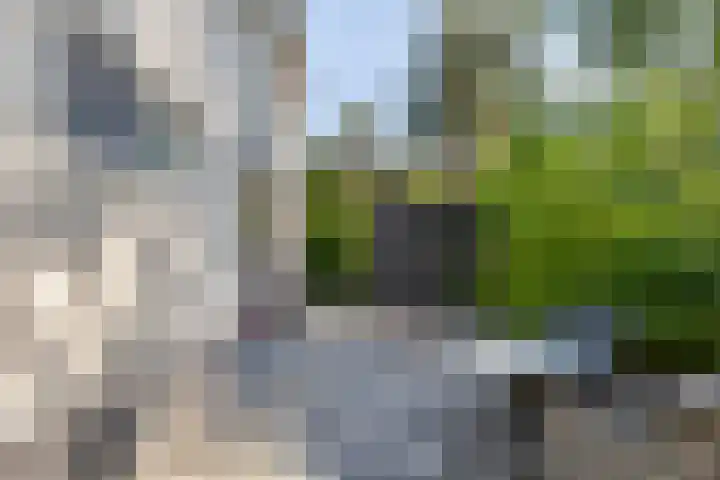 Halseweg 54 46 Halle thumbnail 25