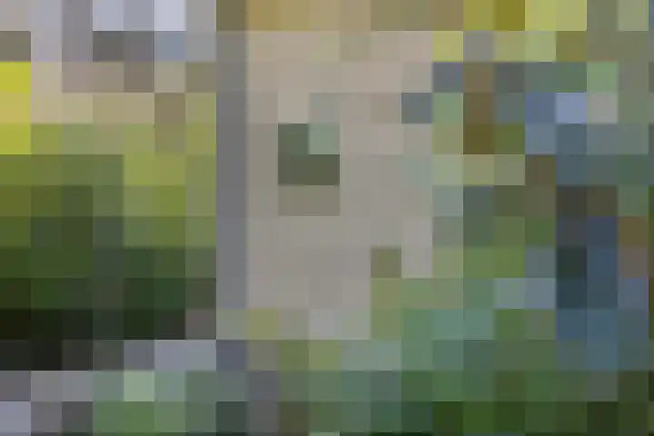 Halseweg 54 46 Halle thumbnail 4