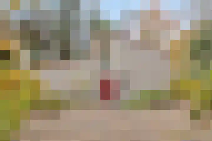 Halseweg 54 61 in Halle