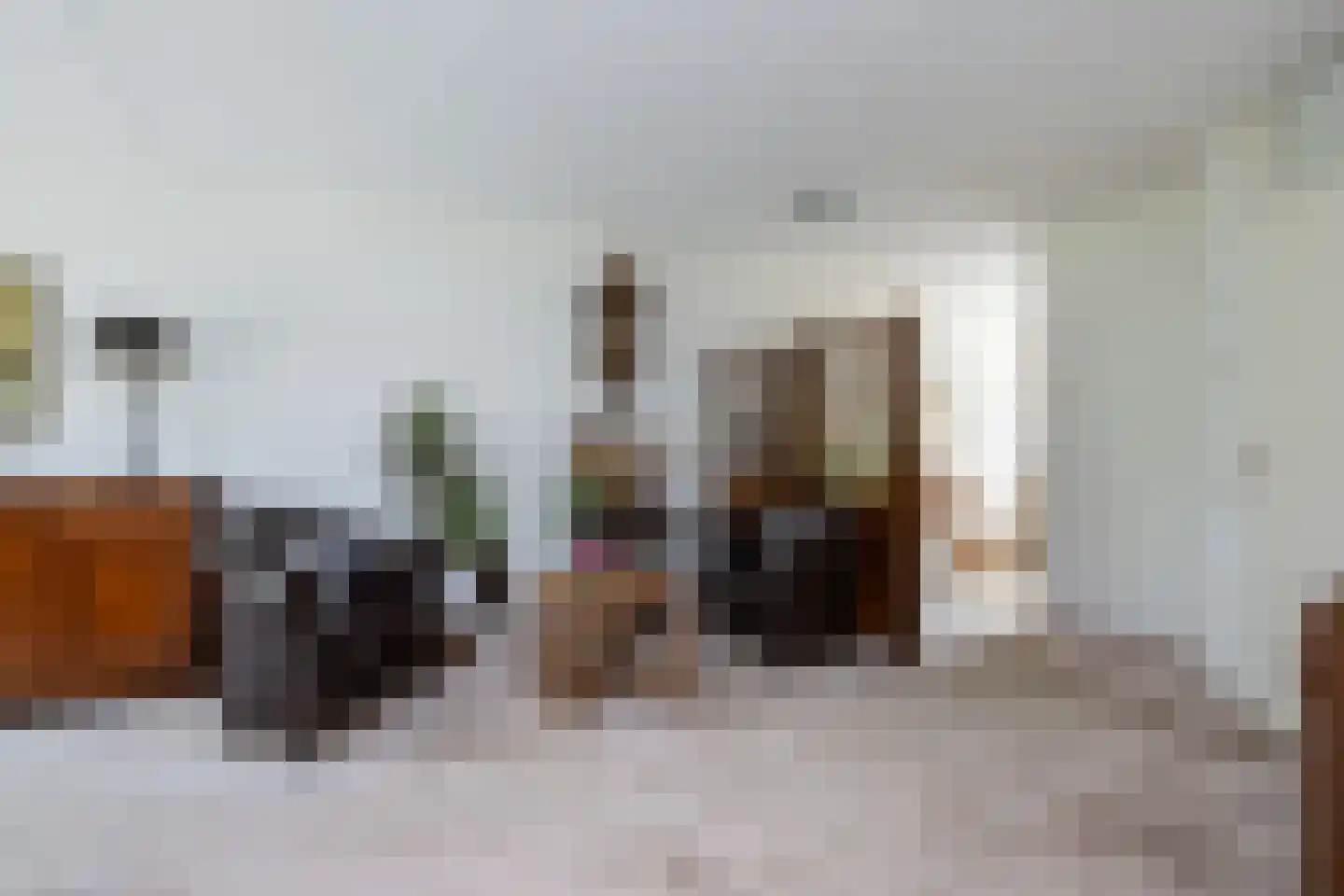 Halsjuk 25 Sommelsdijk thumbnail 11