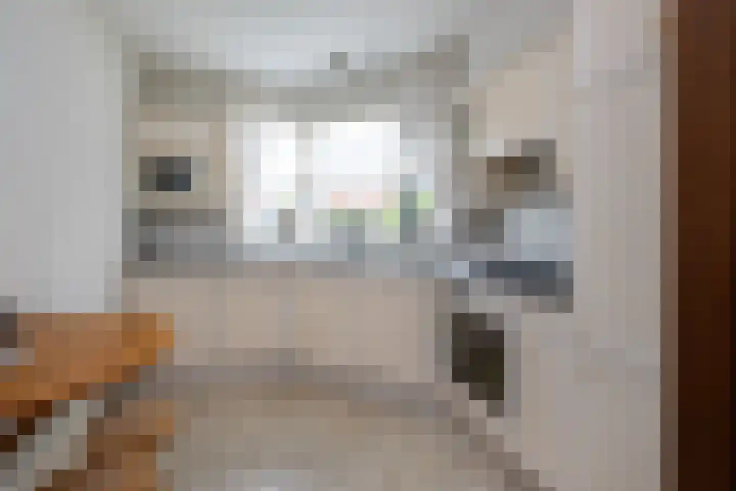 Halsjuk 25 Sommelsdijk thumbnail 13