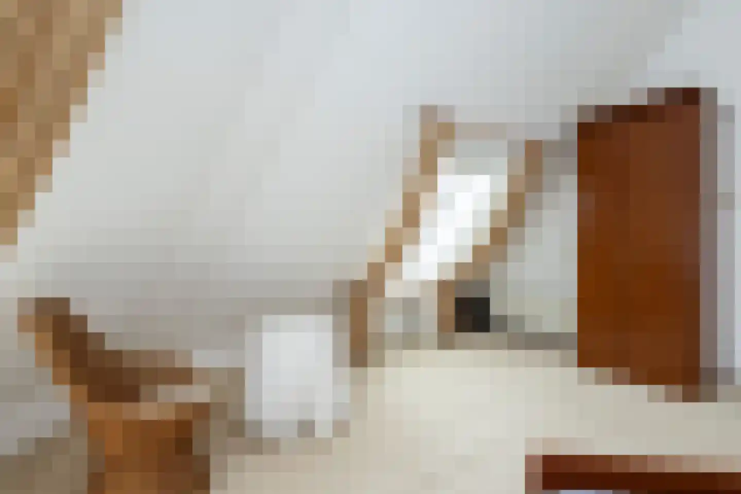 Halsjuk 25 Sommelsdijk thumbnail 19
