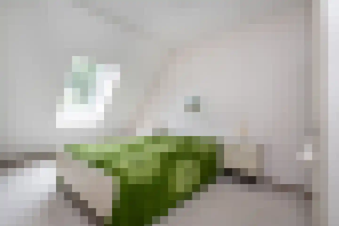 Halsjuk 25 Sommelsdijk thumbnail 21