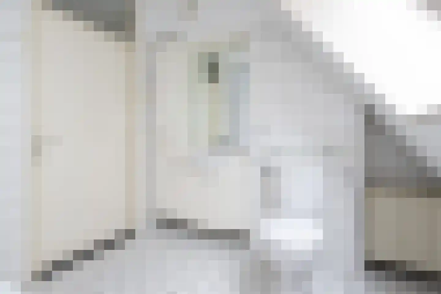 Halsjuk 25 Sommelsdijk thumbnail 25