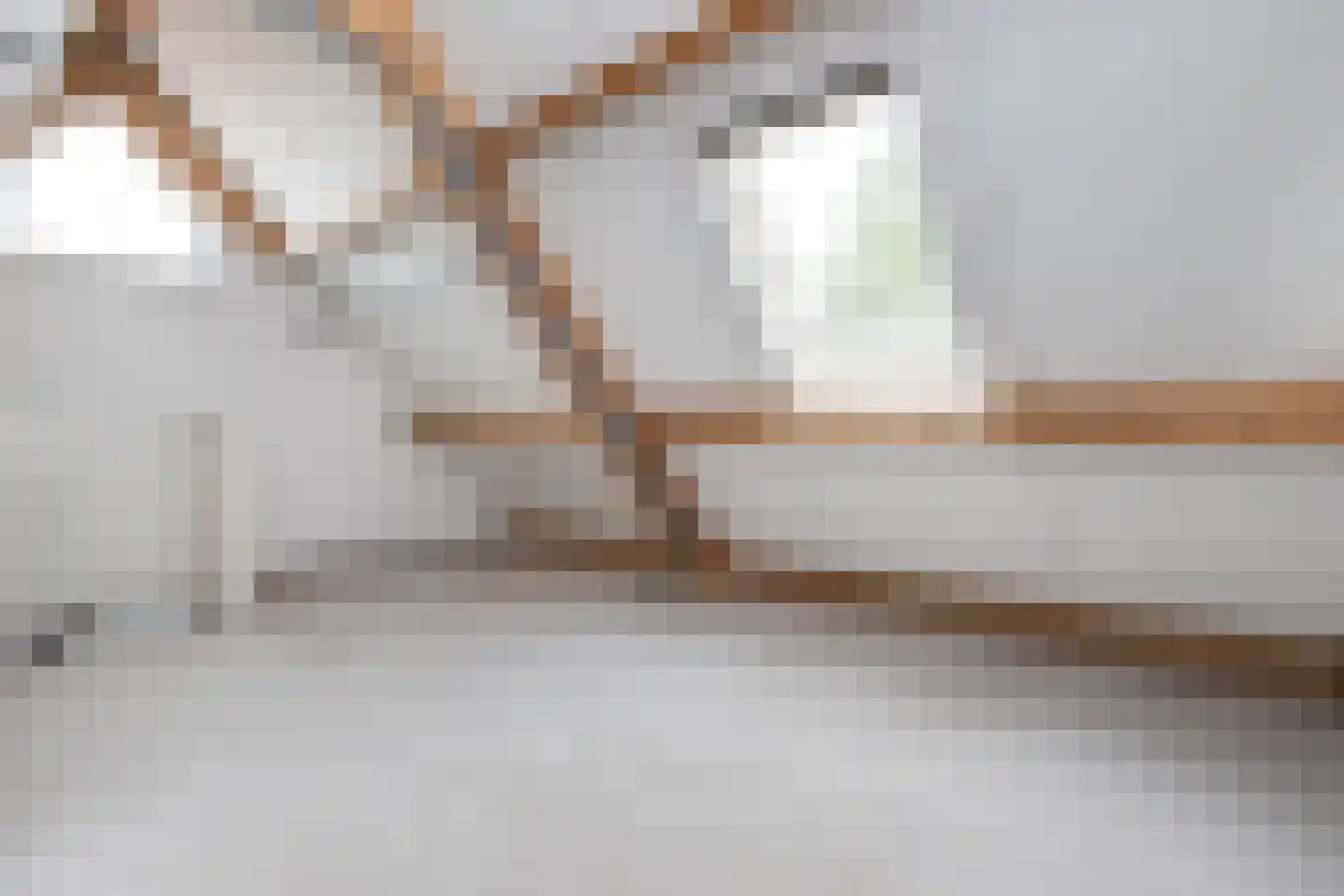 Halsjuk 25 Sommelsdijk thumbnail 26