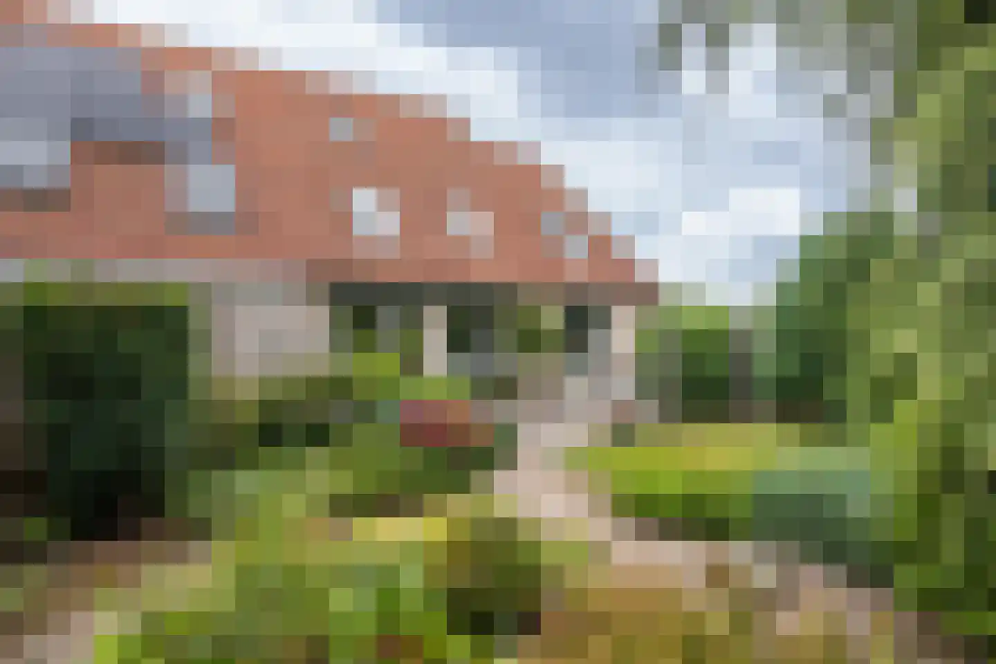 Halsjuk 25 Sommelsdijk thumbnail 27