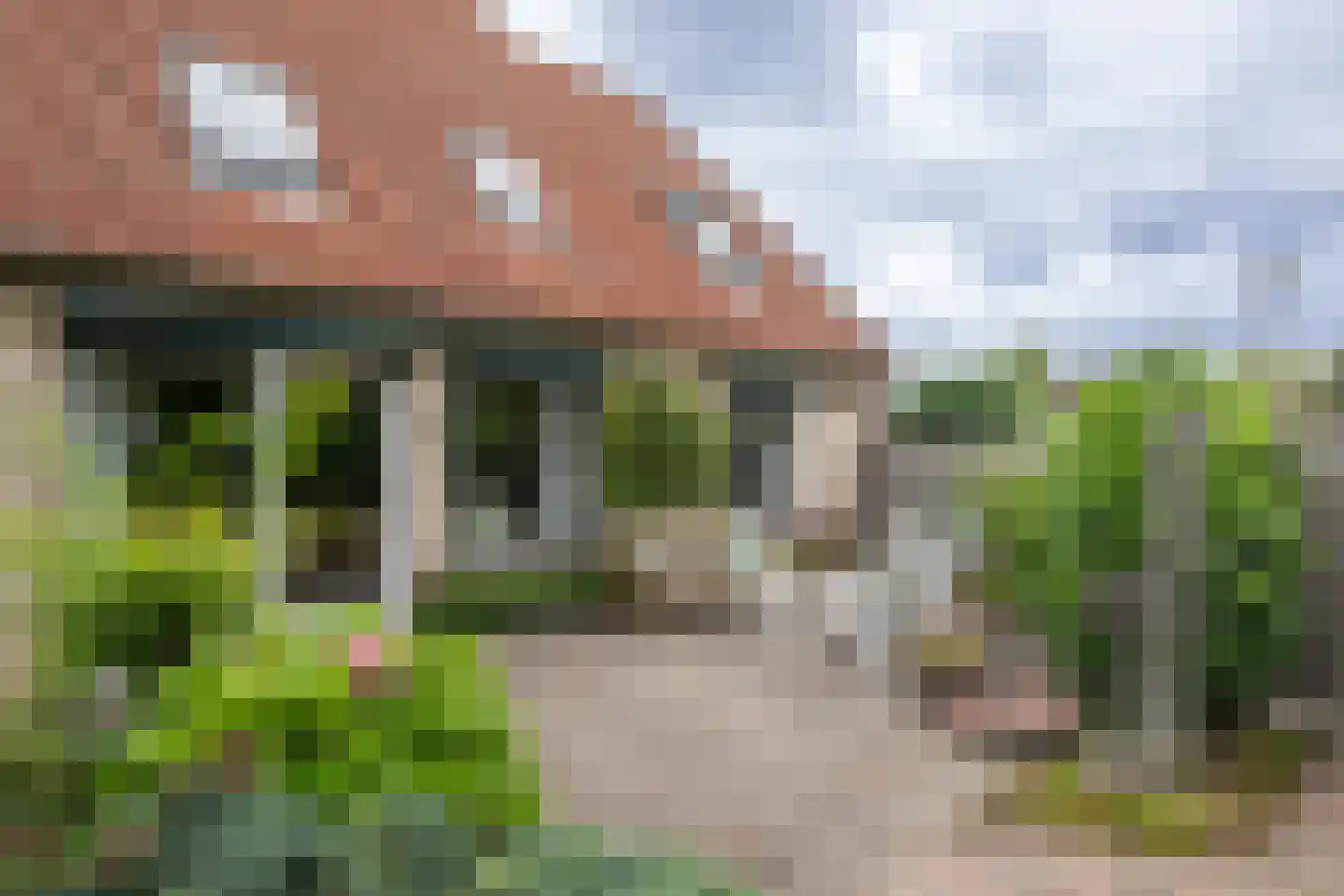 Halsjuk 25 Sommelsdijk thumbnail 28