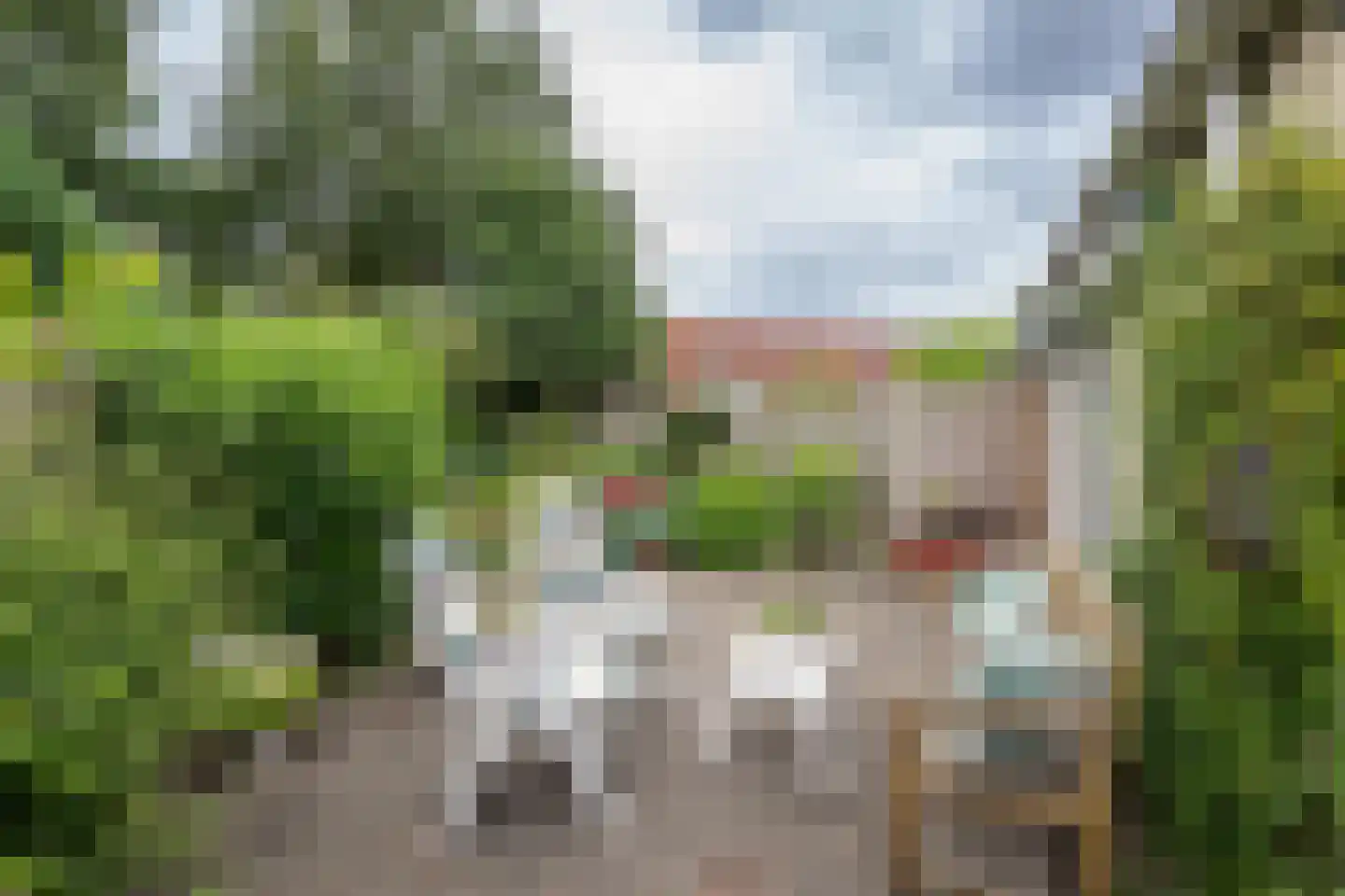 Halsjuk 25 Sommelsdijk thumbnail 29