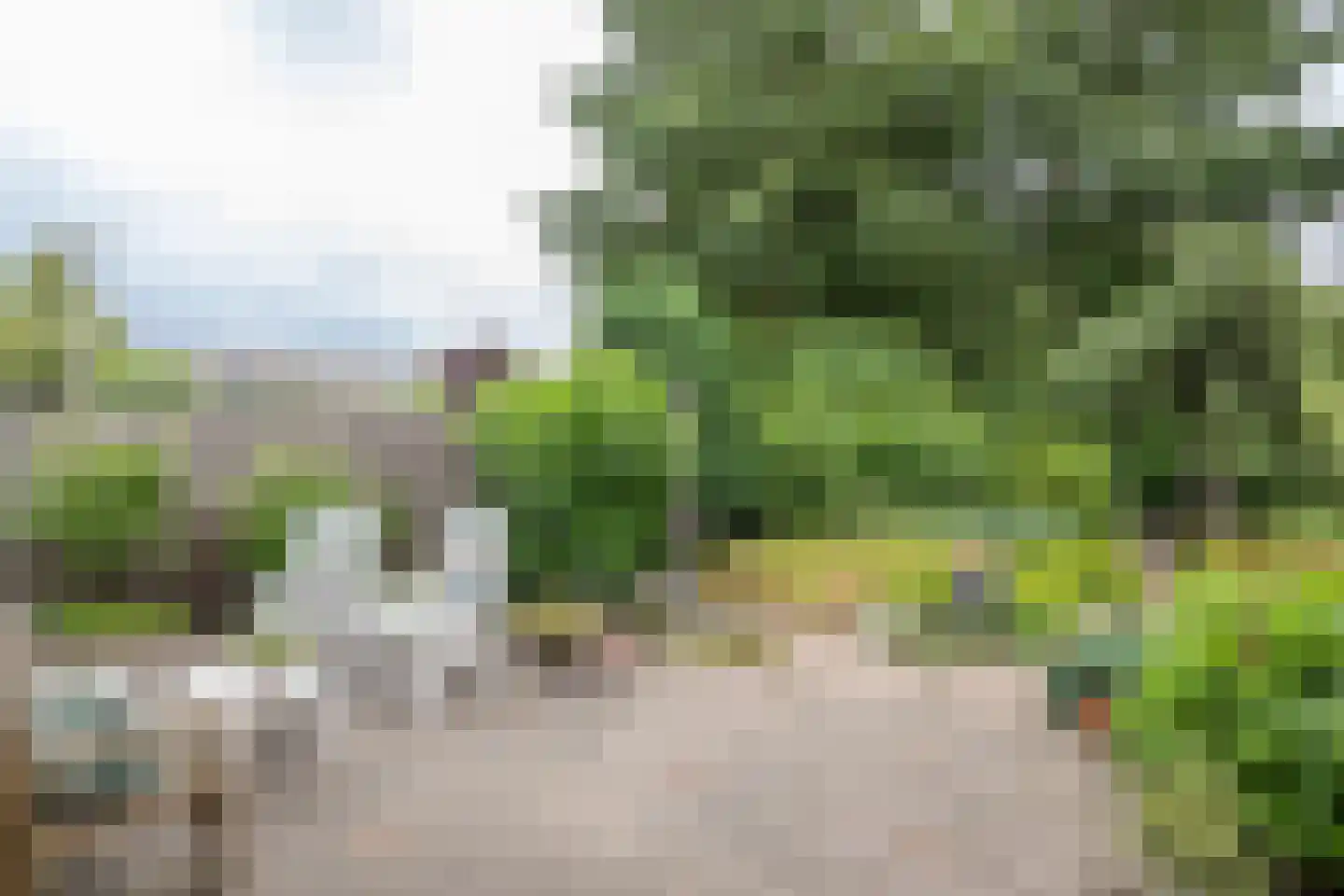 Halsjuk 25 Sommelsdijk thumbnail 30