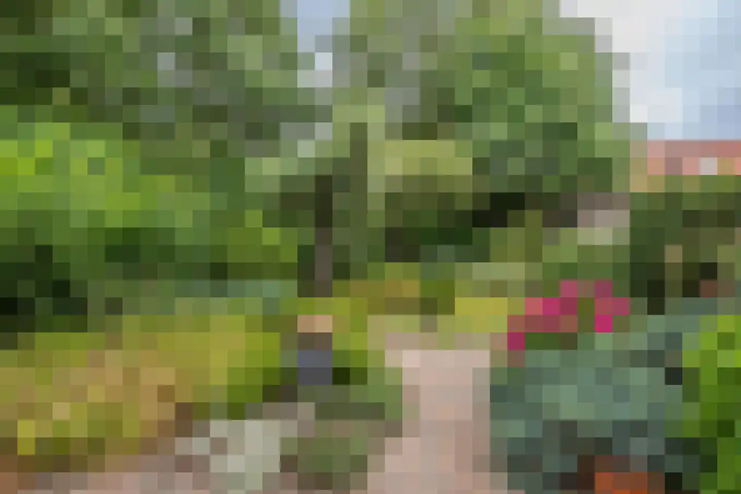 Halsjuk 25 Sommelsdijk thumbnail 31