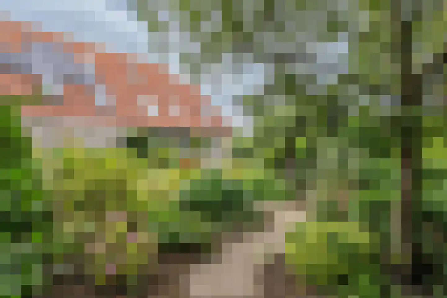 Halsjuk 25 Sommelsdijk thumbnail 34
