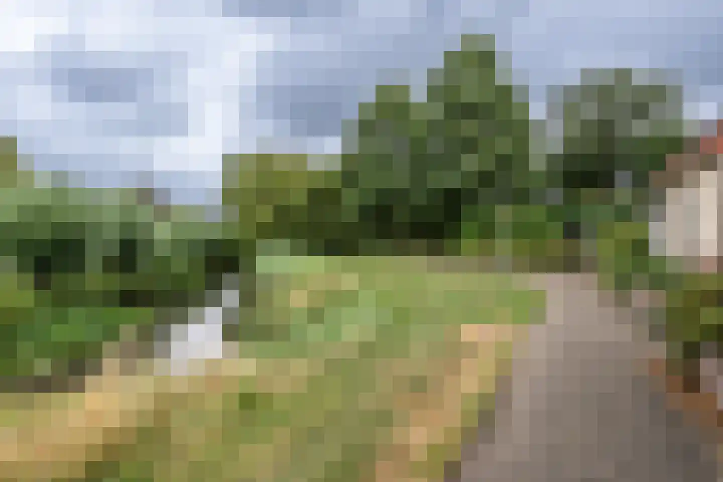Halsjuk 25 Sommelsdijk thumbnail 37