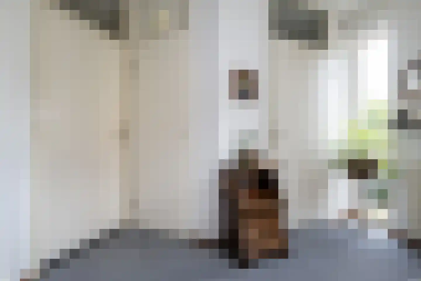 Halsjuk 25 Sommelsdijk thumbnail 7