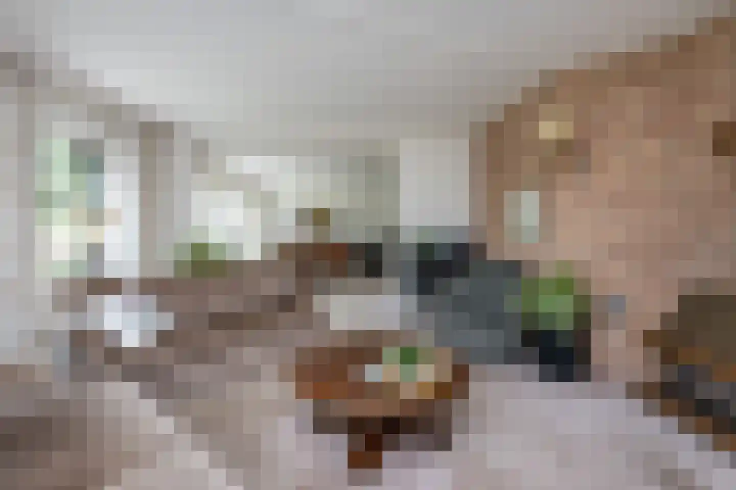 Halsjuk 25 Sommelsdijk thumbnail 8
