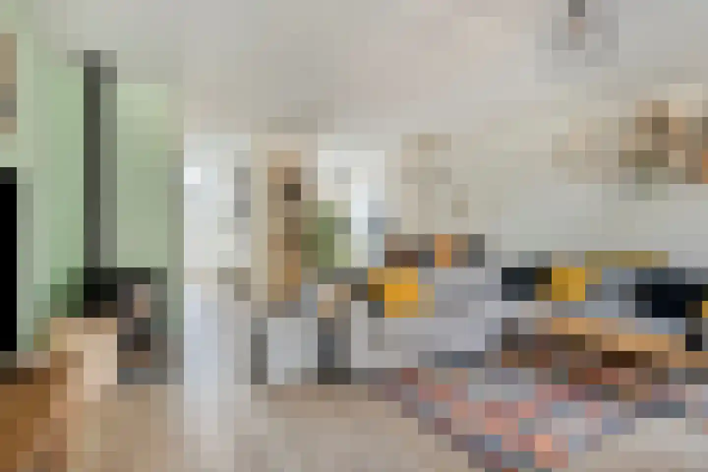 Halsjuk 38 Sommelsdijk thumbnail 11