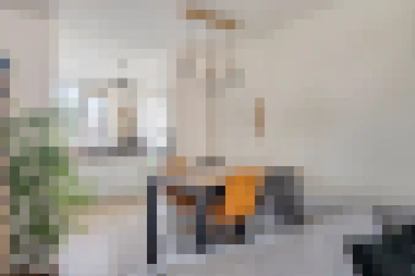 Halsjuk 38 Sommelsdijk thumbnail 15