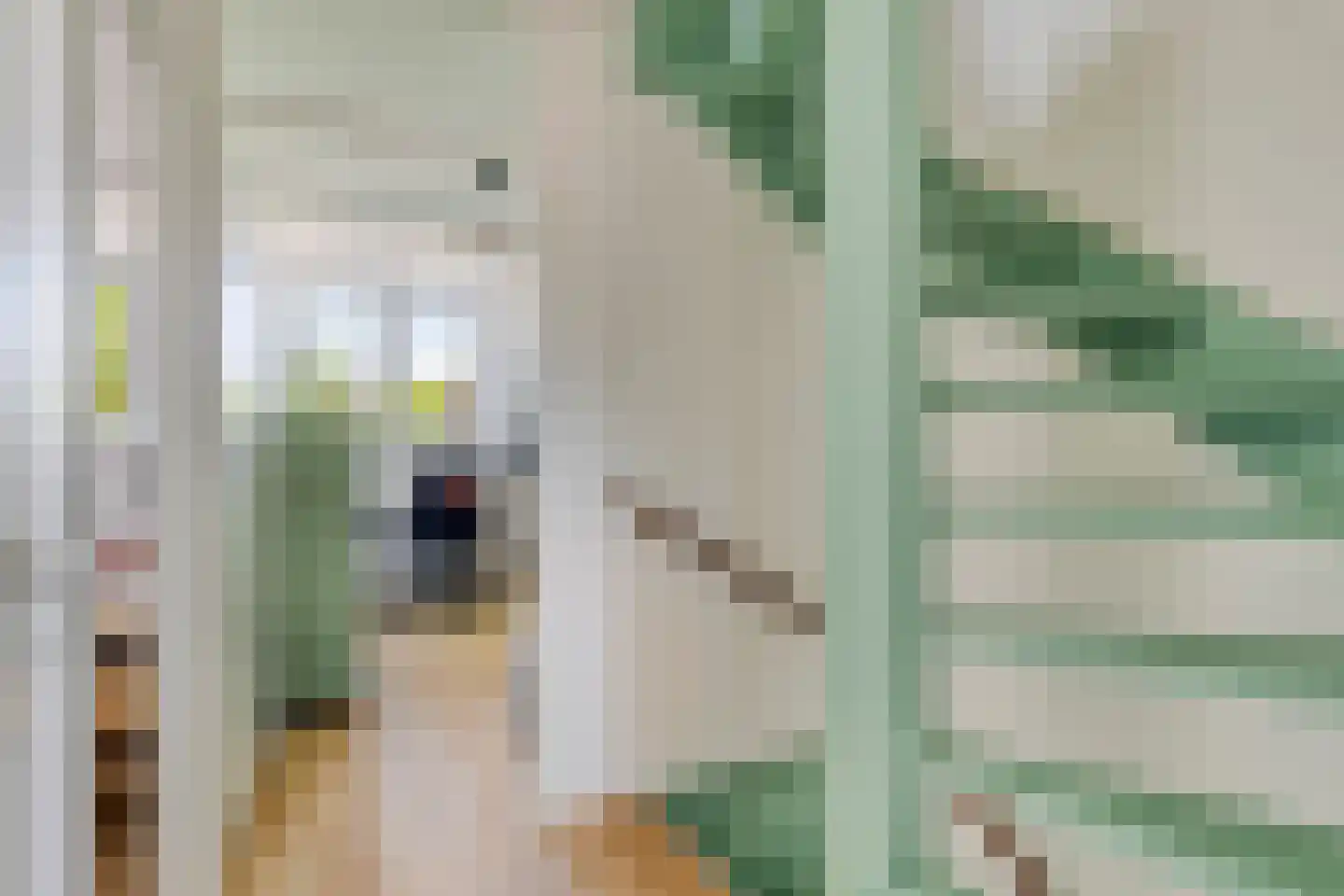Halsjuk 38 Sommelsdijk thumbnail 19