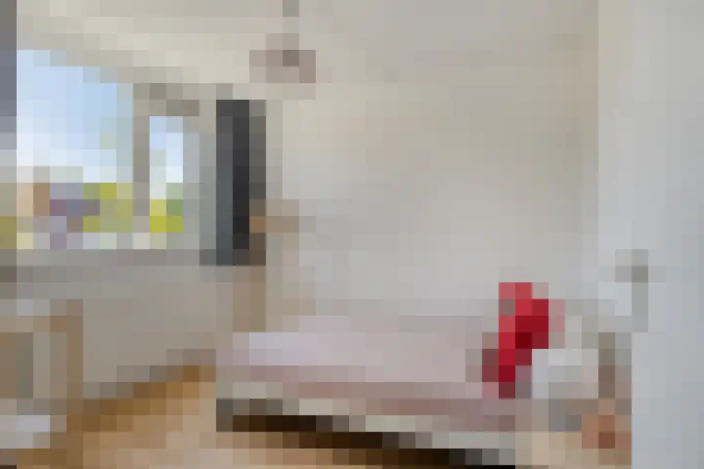 Halsjuk 38 Sommelsdijk thumbnail 25