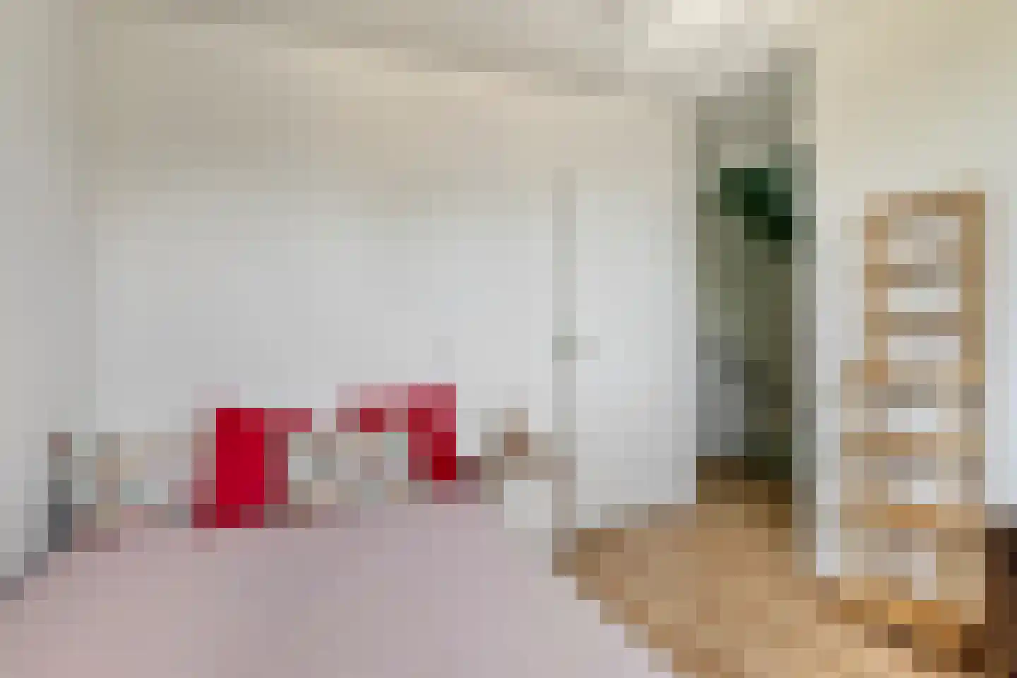 Halsjuk 38 Sommelsdijk thumbnail 26