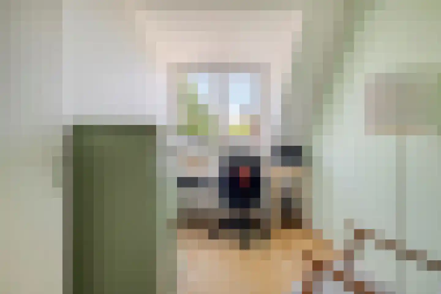 Halsjuk 38 Sommelsdijk thumbnail 27