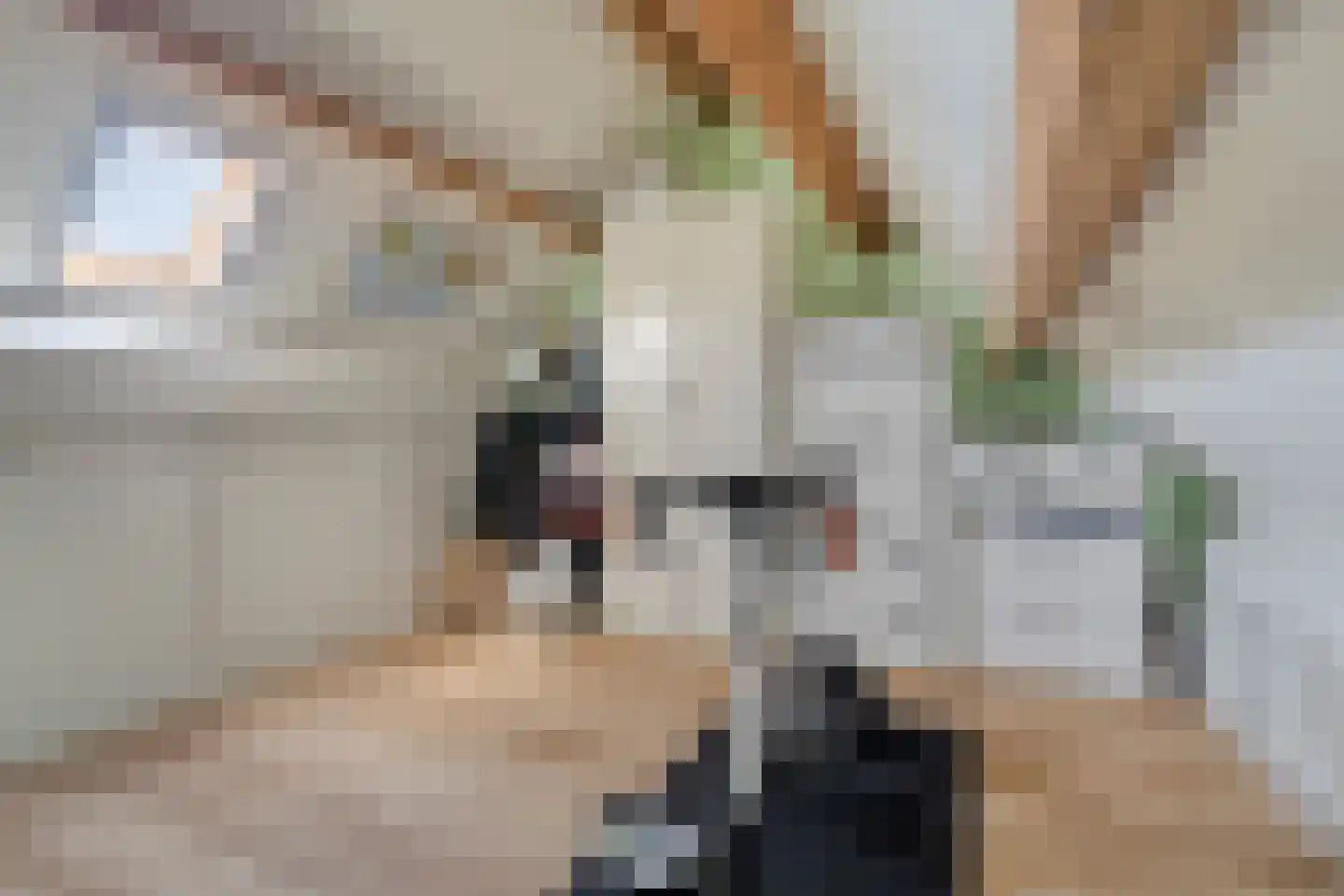 Halsjuk 38 Sommelsdijk thumbnail 29