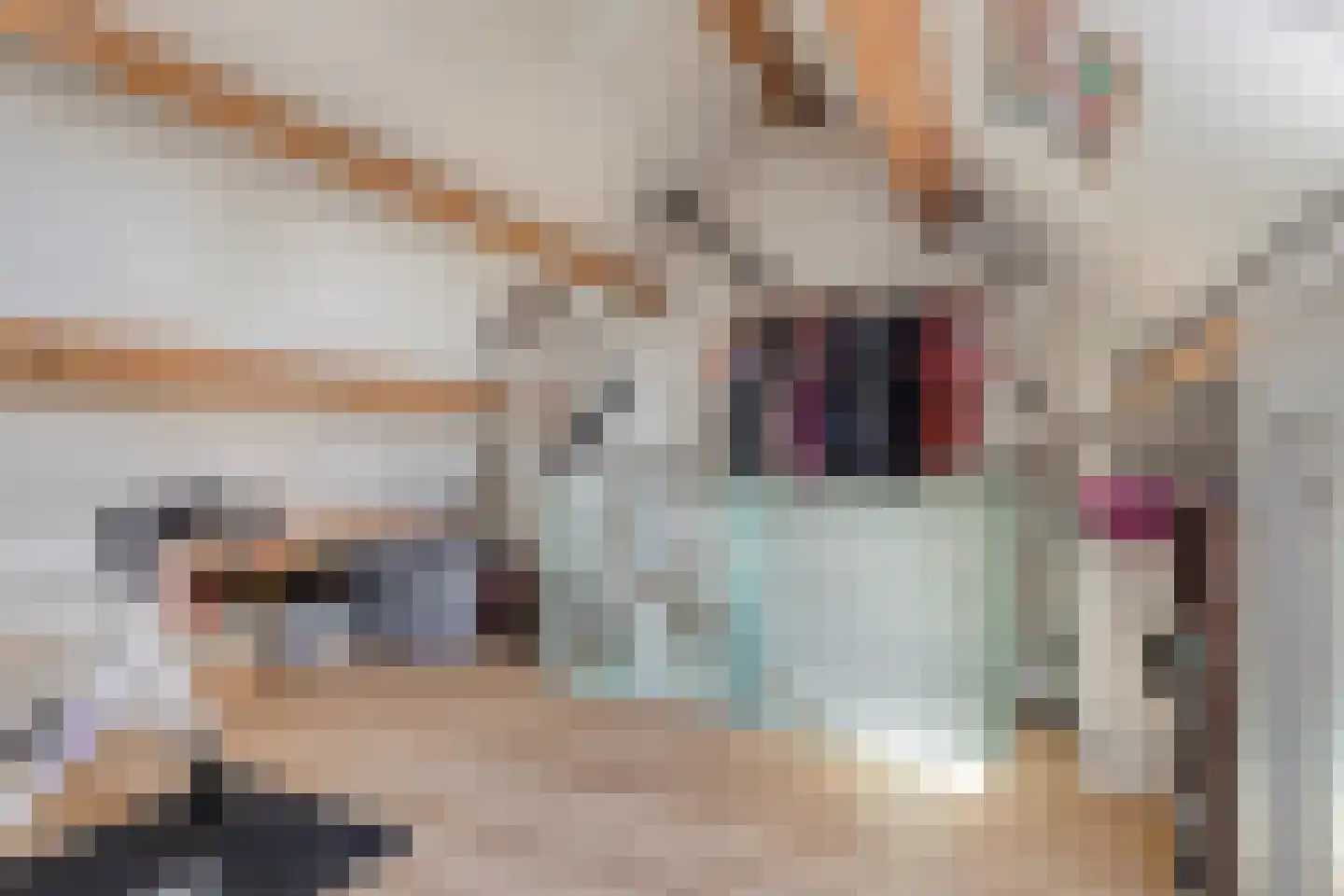 Halsjuk 38 Sommelsdijk thumbnail 30