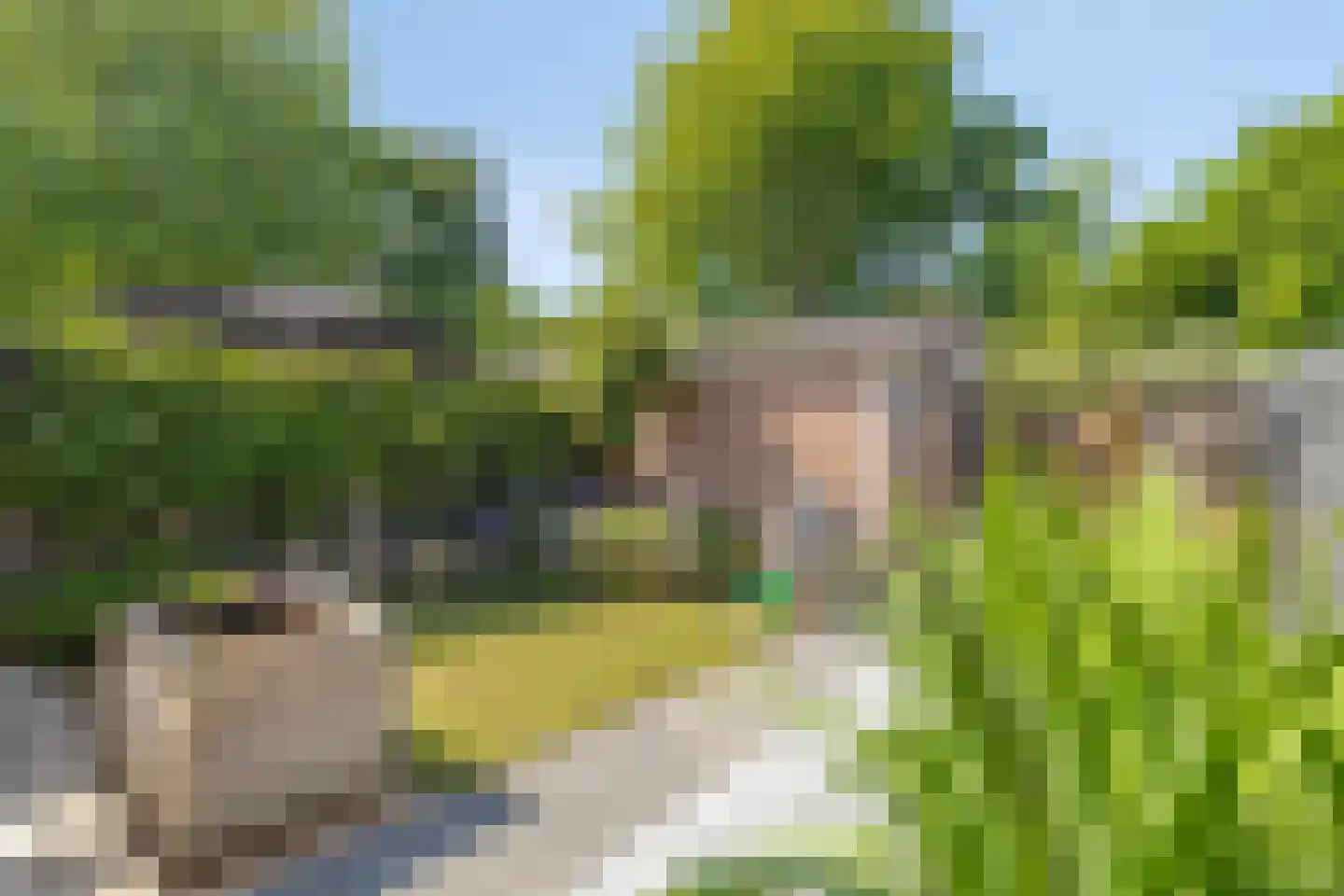 Halsjuk 38 Sommelsdijk thumbnail 32