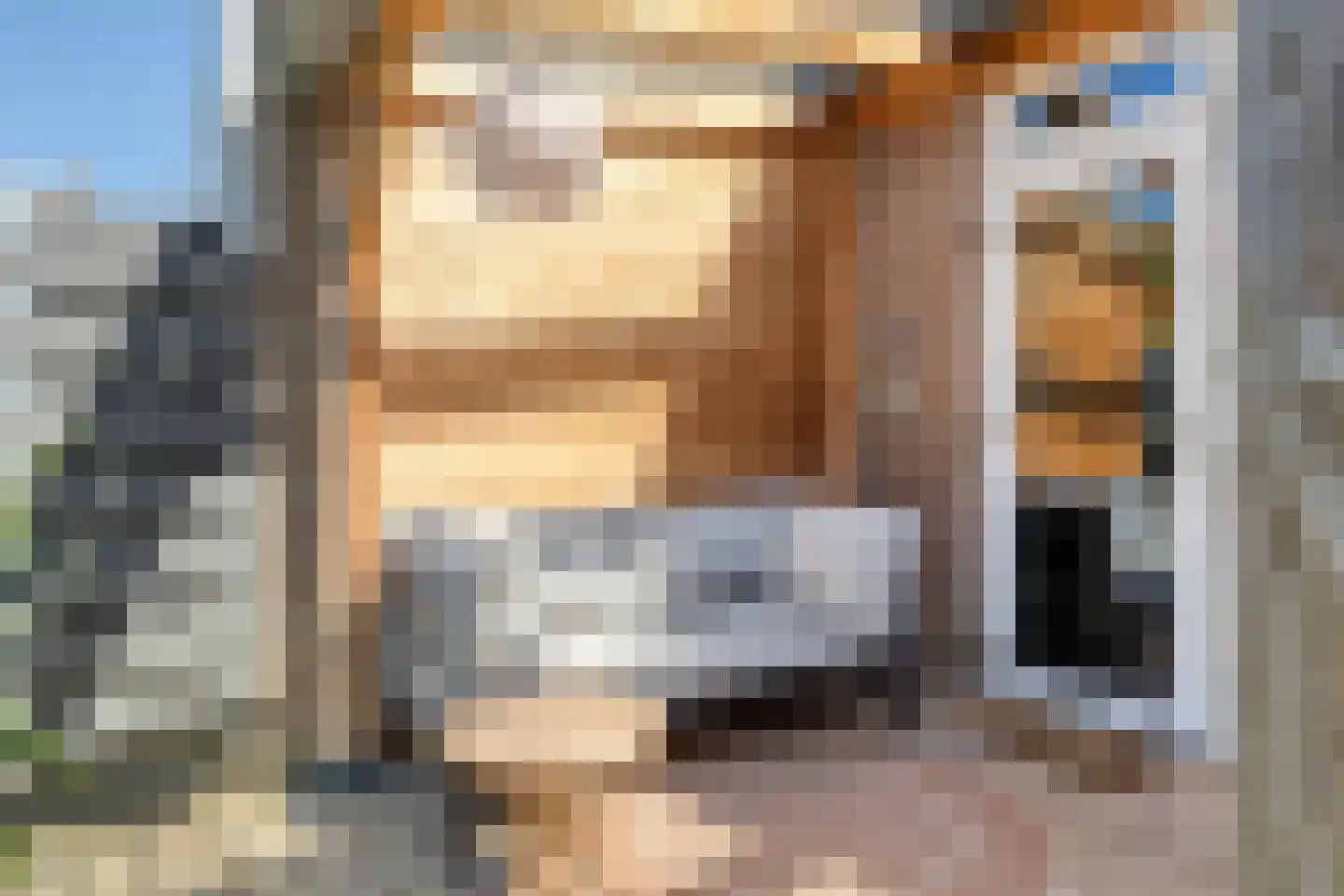 Halsjuk 38 Sommelsdijk thumbnail 35