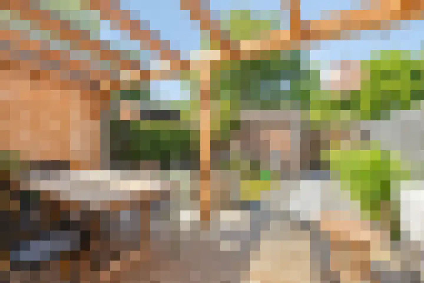 Halsjuk 38 Sommelsdijk thumbnail 5