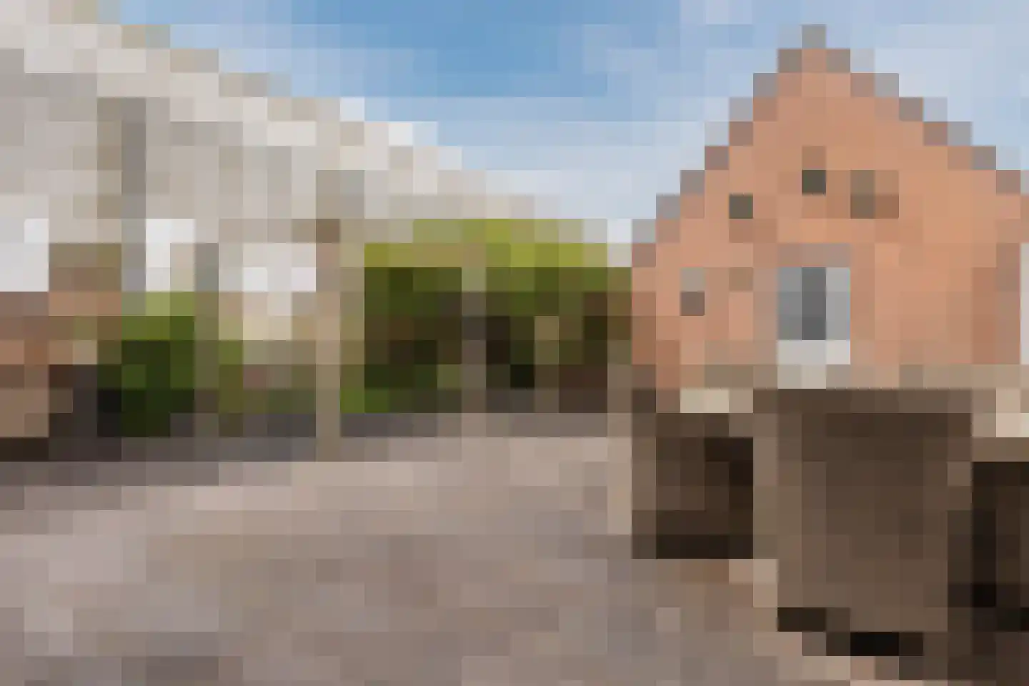 Halsterseweg 108 Bergen op Zoom thumbnail 48