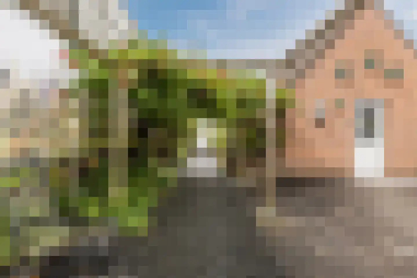 Halsterseweg 108 Bergen op Zoom thumbnail 52