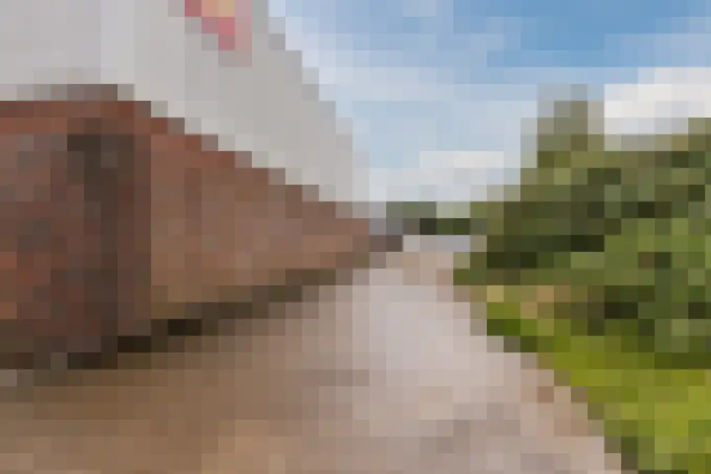 Halsterseweg 108 Bergen op Zoom thumbnail 61
