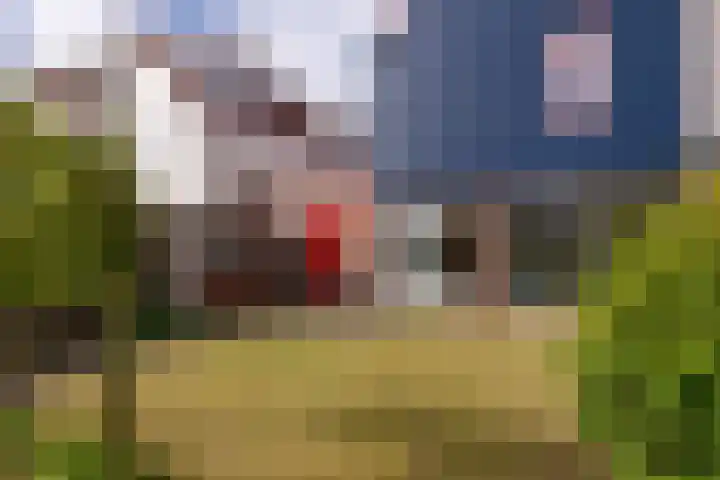 Halsterseweg 199 b Bergen op Zoom thumbnail 35