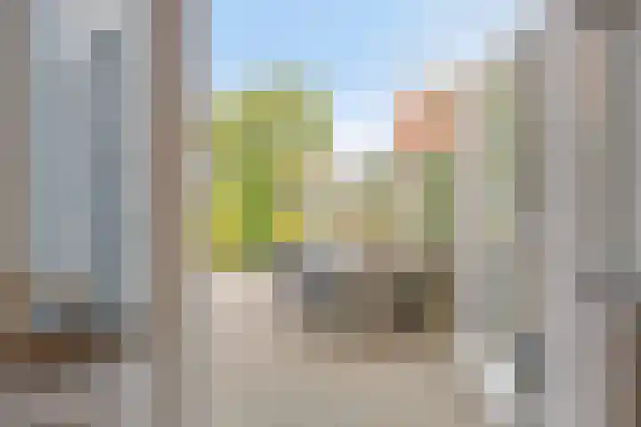 Halsterseweg 200 Bergen op Zoom thumbnail 11