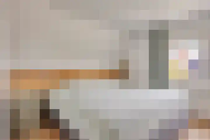 Halsterseweg 200 Bergen op Zoom thumbnail 21