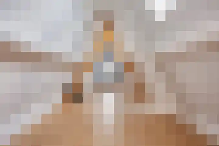 Halsterseweg 200 Bergen op Zoom thumbnail 30