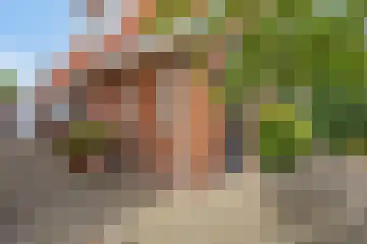 Halsterseweg 200 Bergen op Zoom thumbnail 31