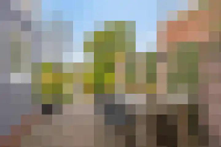 Halsterseweg 200 Bergen op Zoom thumbnail 32