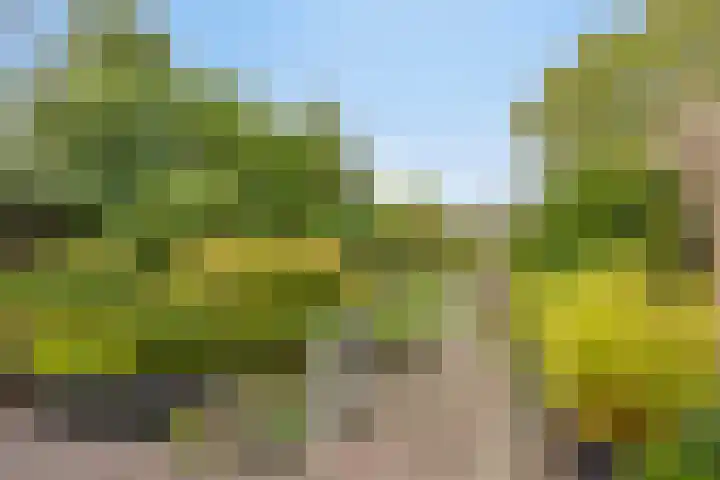 Halsterseweg 200 Bergen op Zoom thumbnail 33