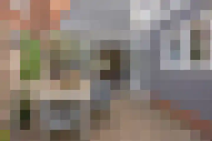 Halsterseweg 200 Bergen op Zoom thumbnail 34