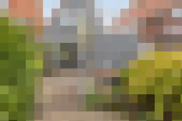 Halsterseweg 200 Bergen op Zoom thumbnail 35